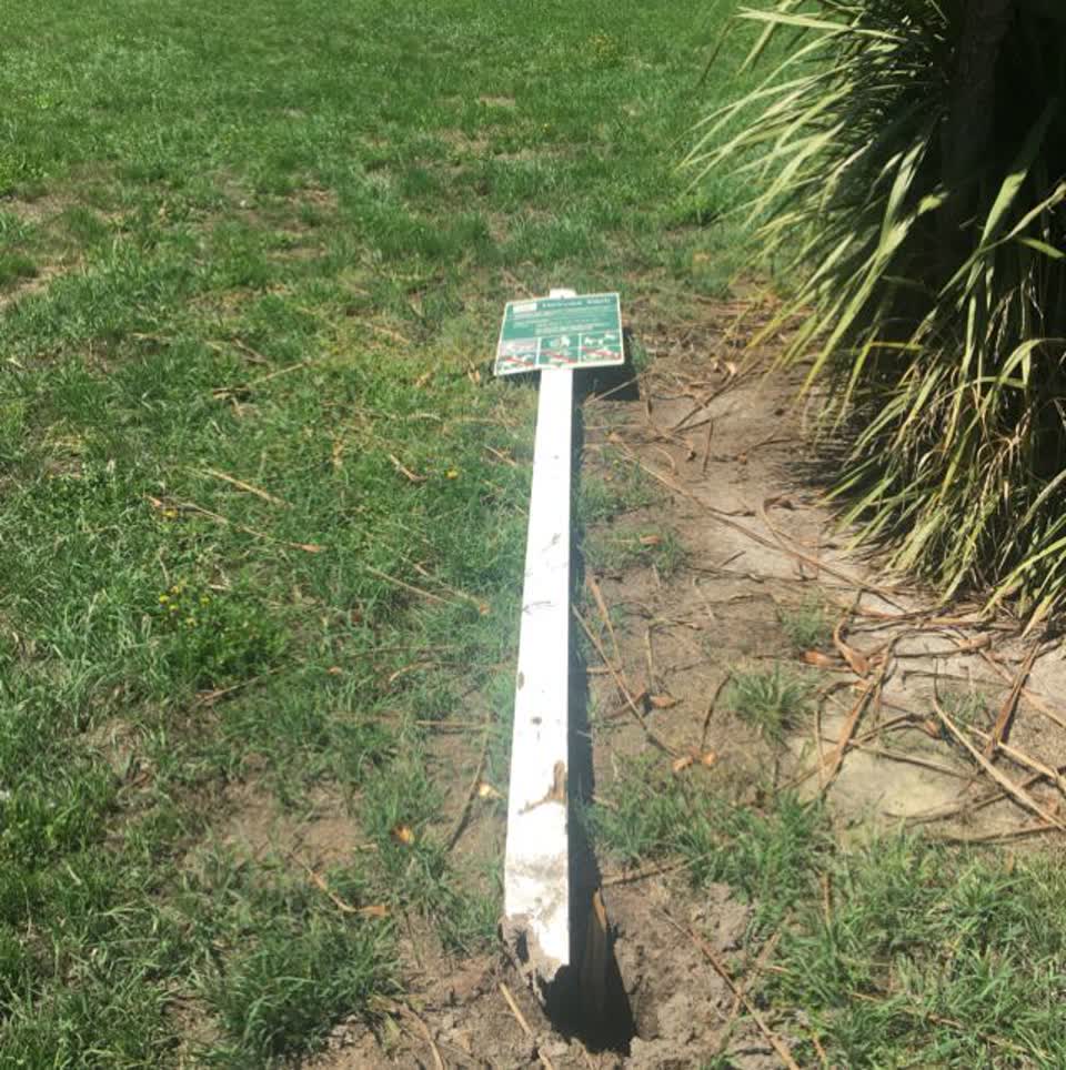 The photograph attached to this parks report
