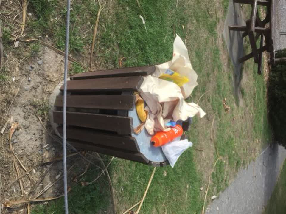 The photograph attached to this rubbish/recycling report