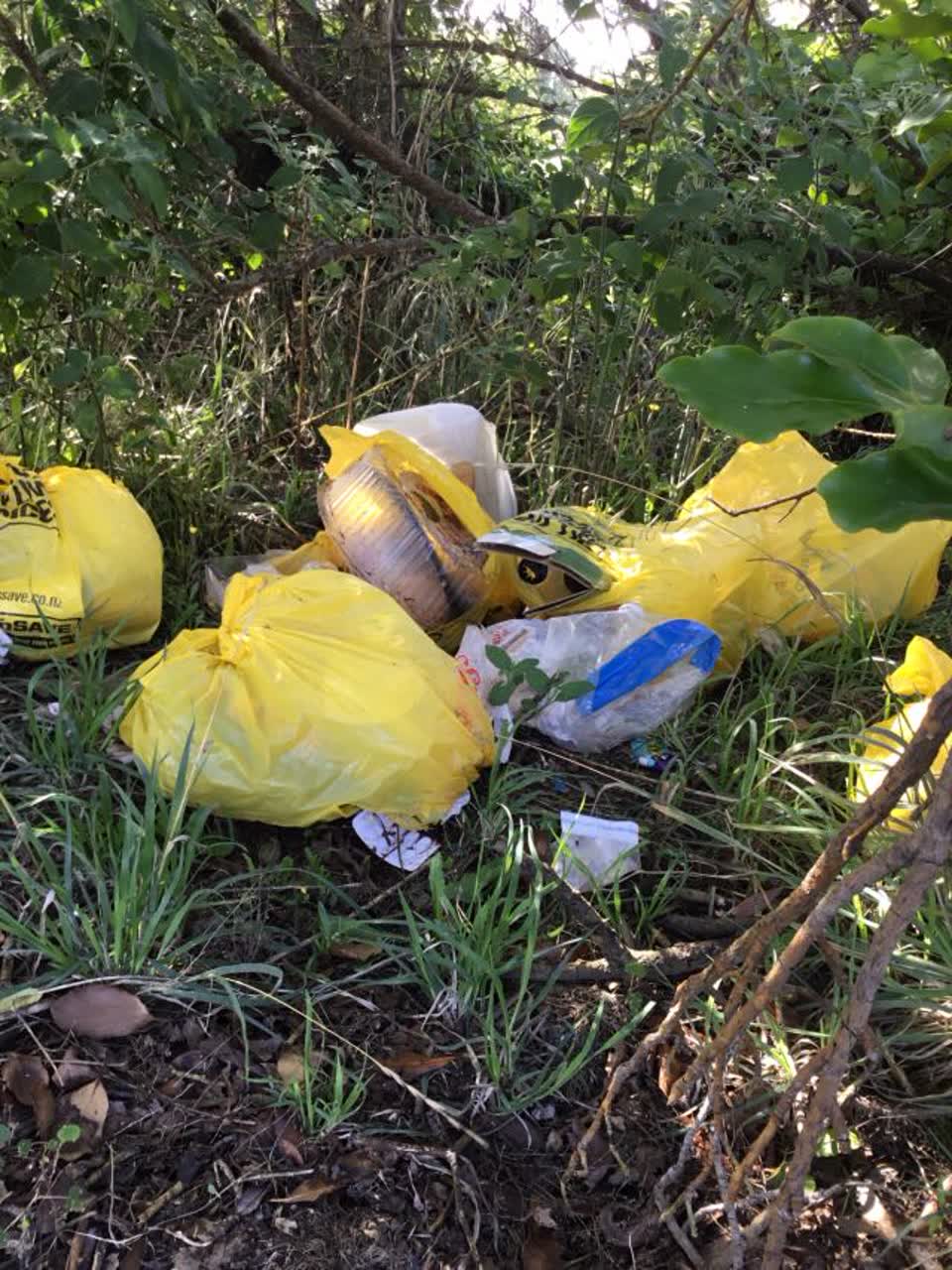 The photograph attached to this rubbish/recycling report