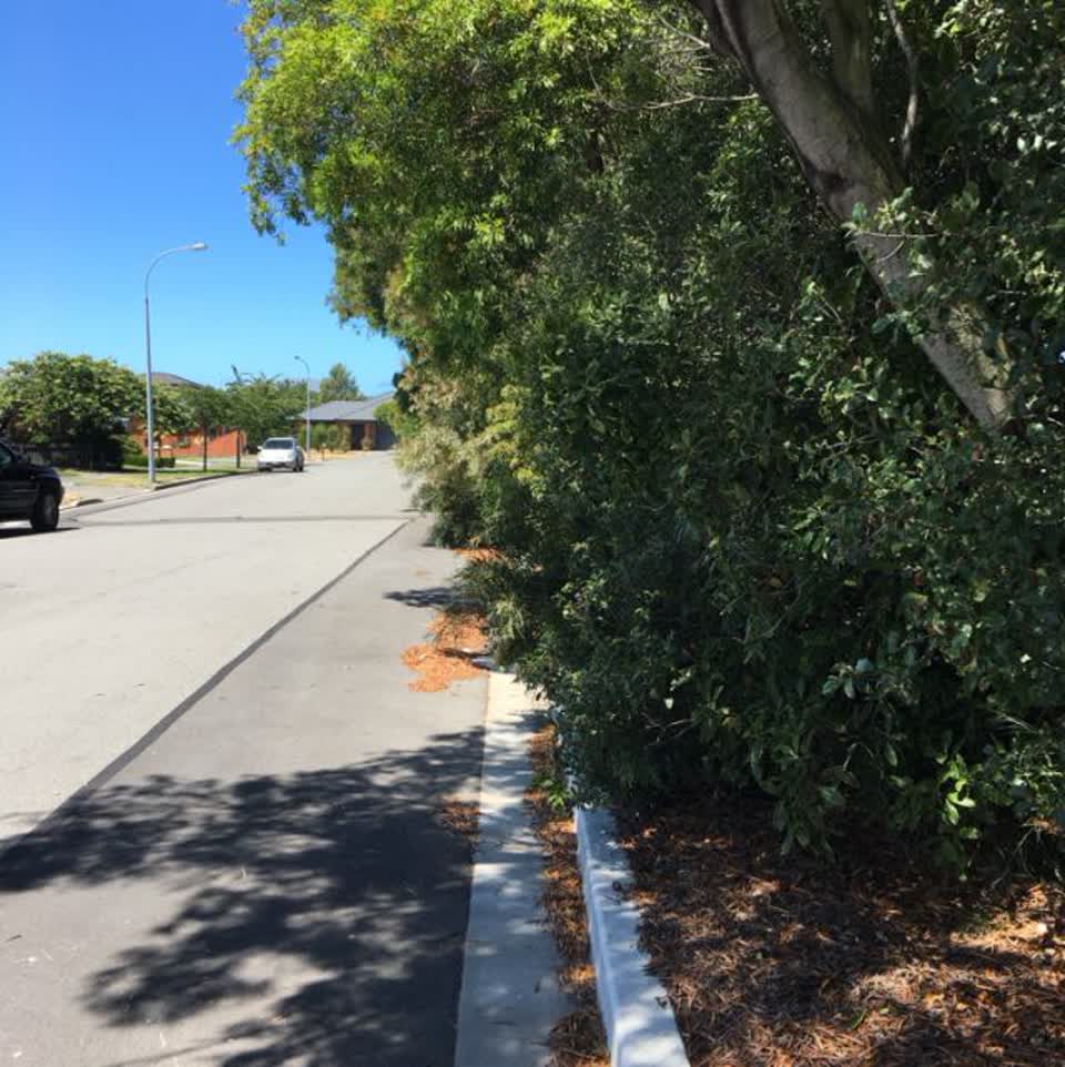 The photograph attached to this roading/streets report