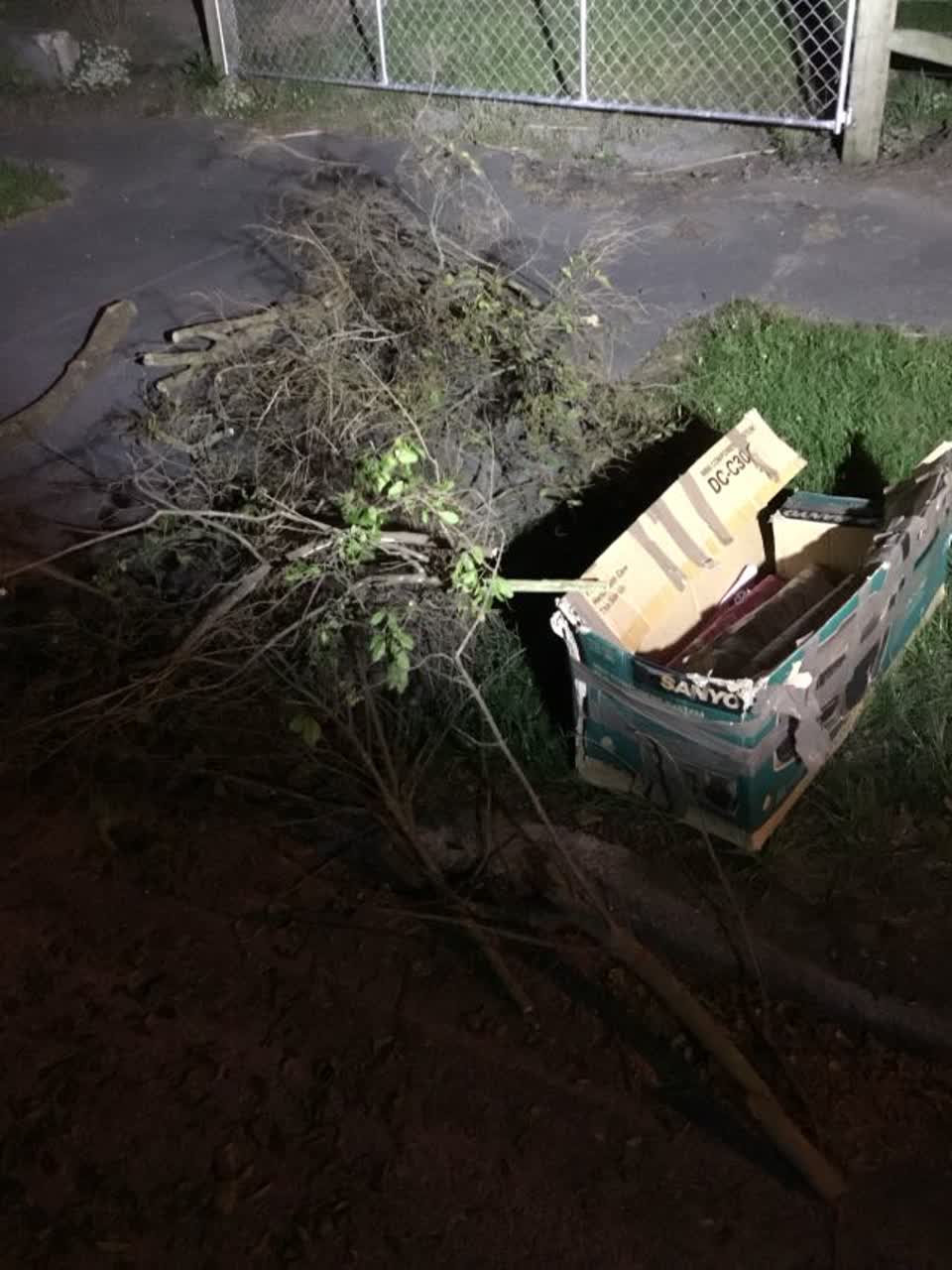 The photograph attached to this rubbish/recycling report