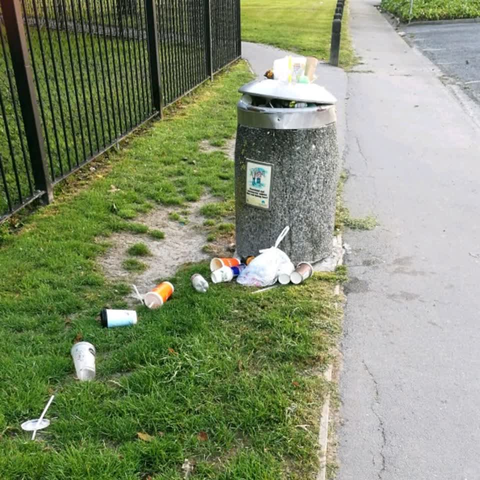 The photograph attached to this rubbish/recycling report
