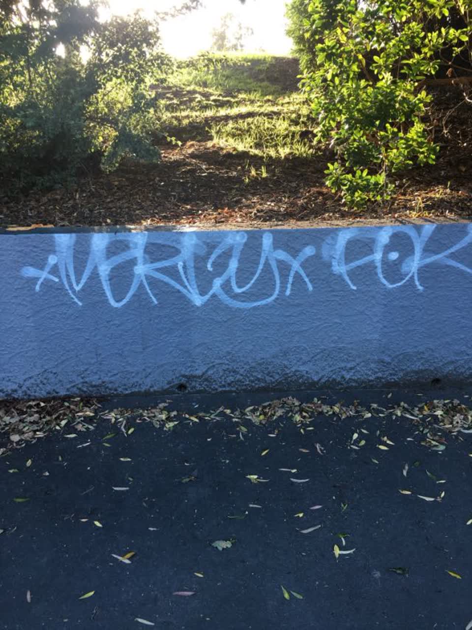 The photograph attached to this graffiti report
