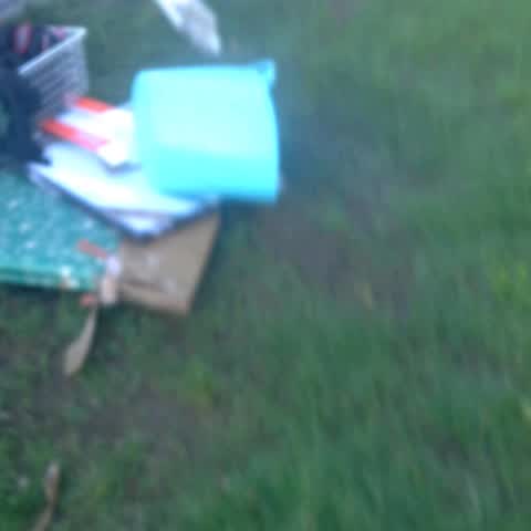 Rubbish/Recycling, a report photo