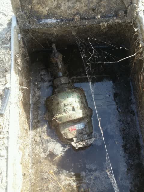 Water Supply, a report photo