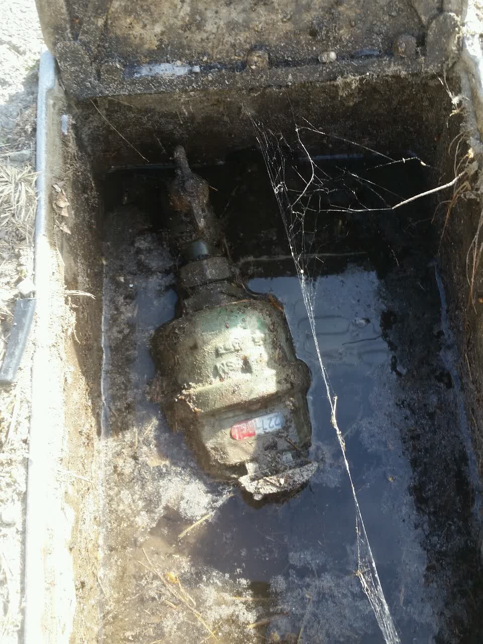The photograph attached to this water supply report
