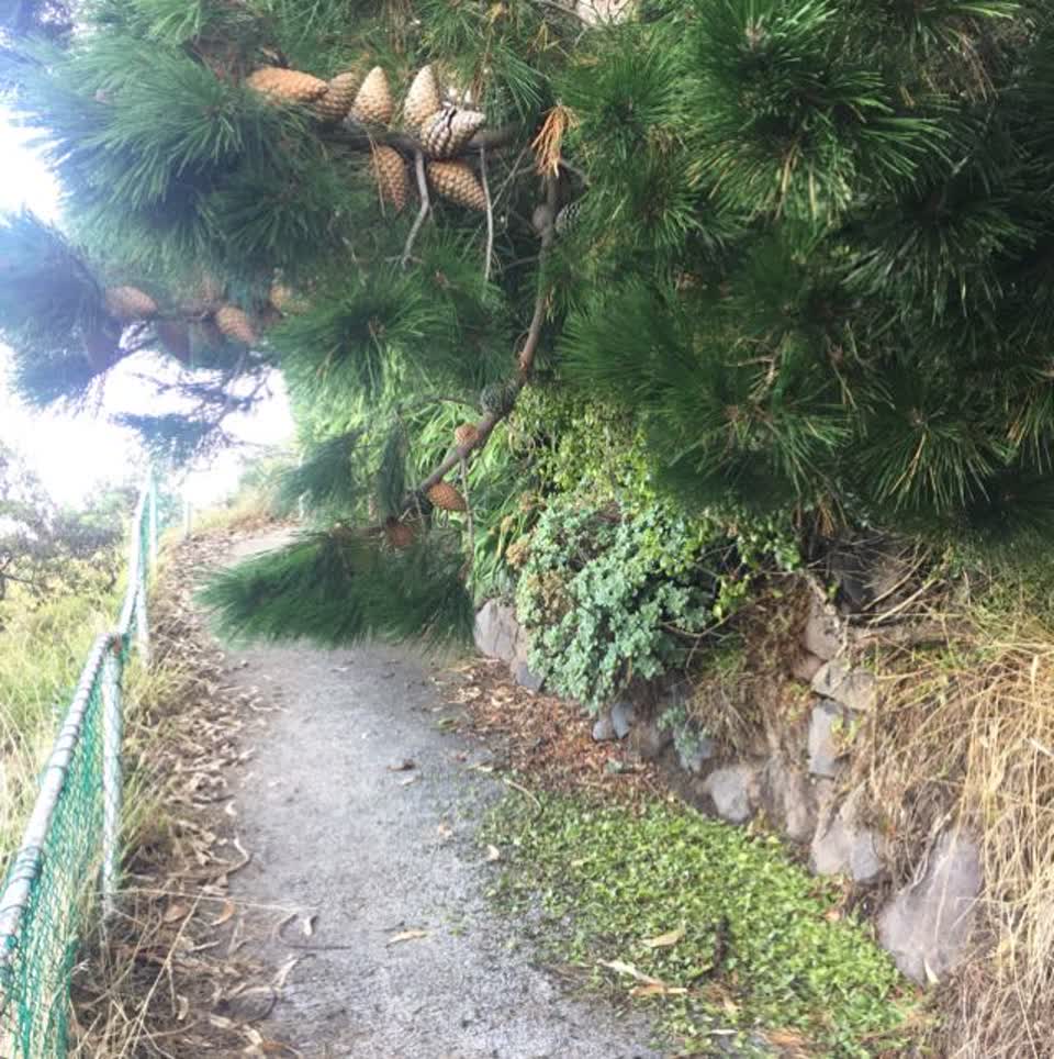 The photograph attached to this parks report
