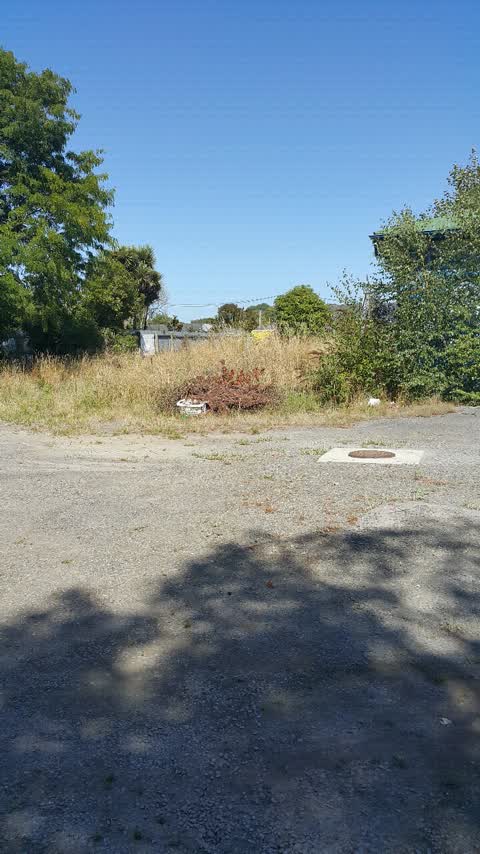 Parks, a report photo