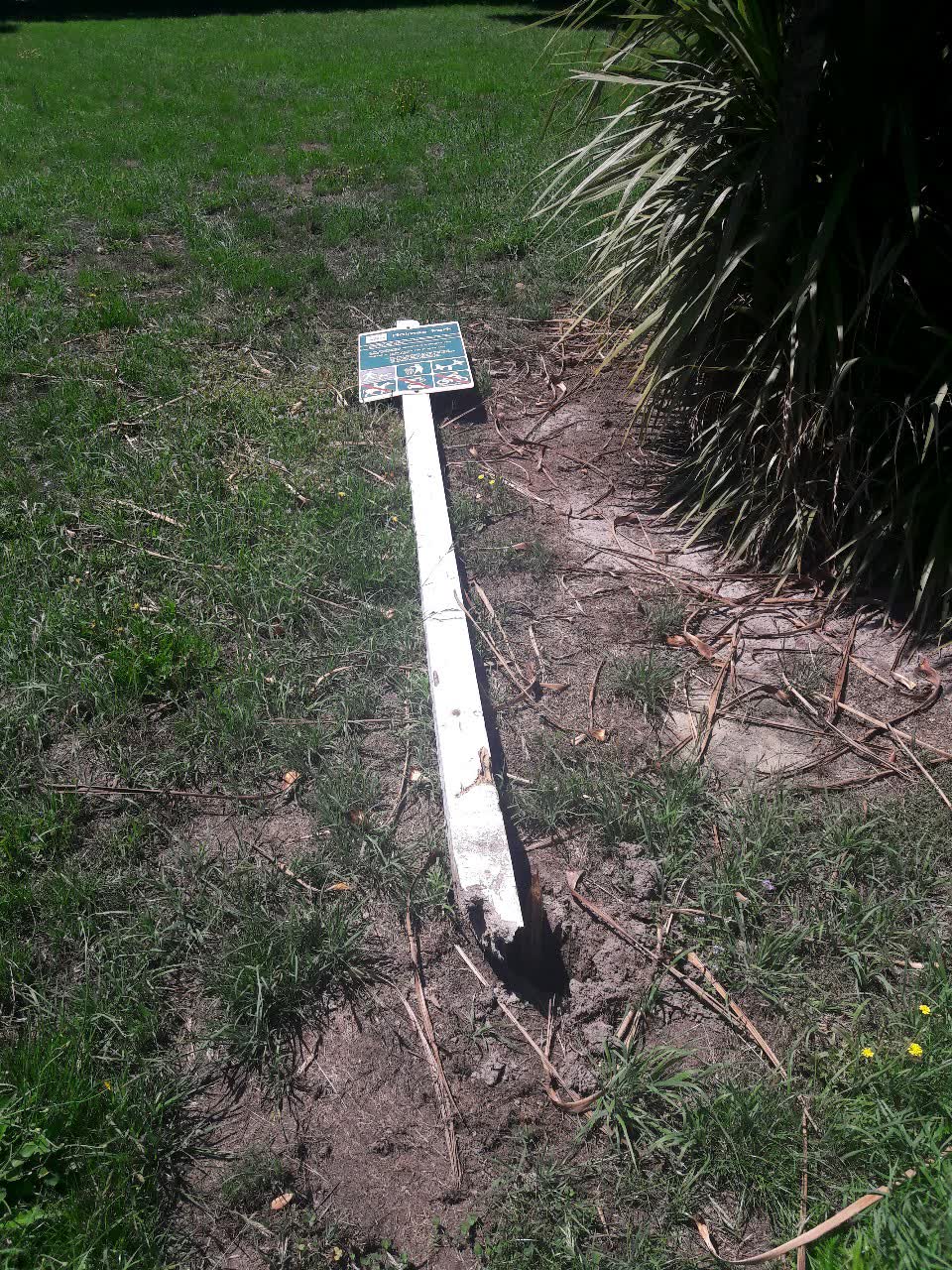 The photograph attached to this parks report
