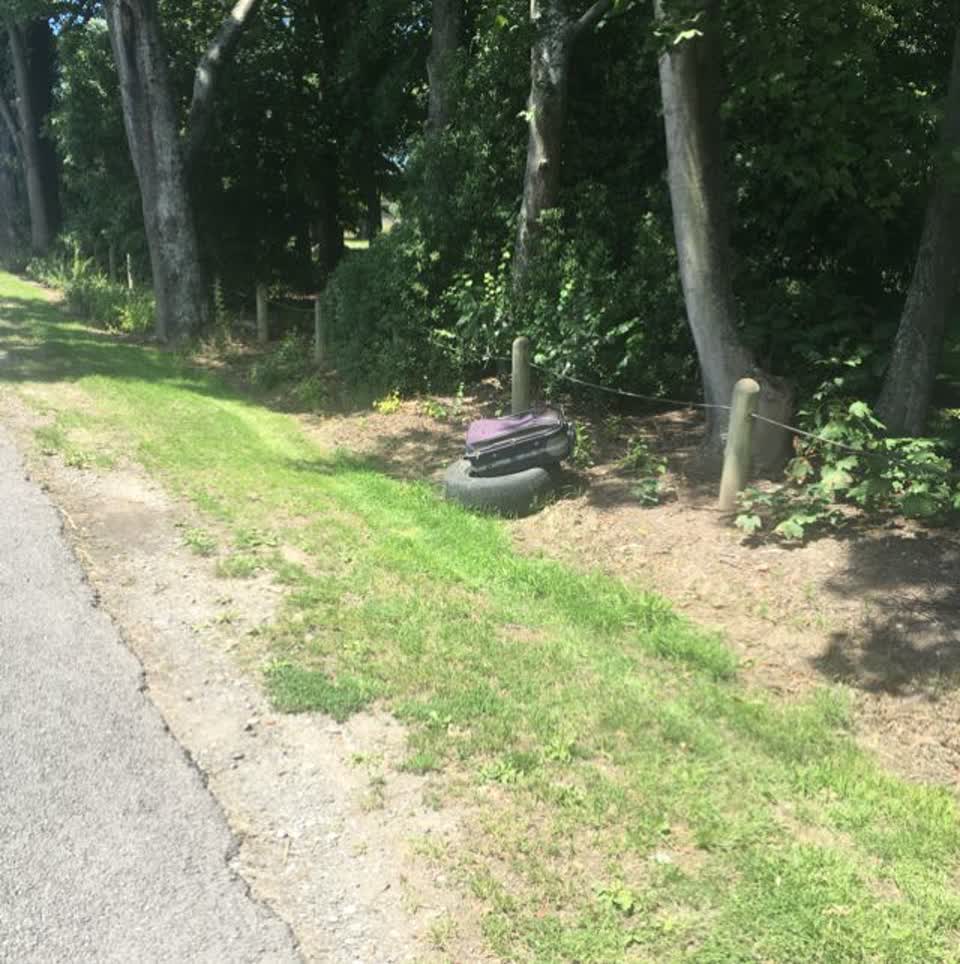 The photograph attached to this parks report