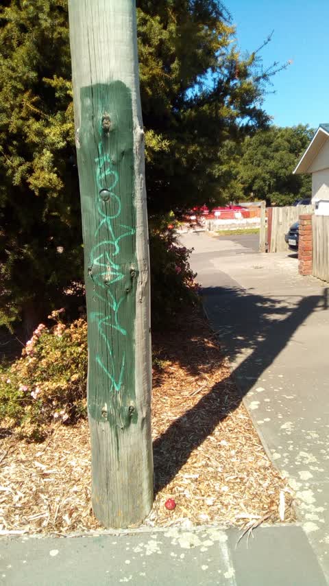 Graffiti, a report photo