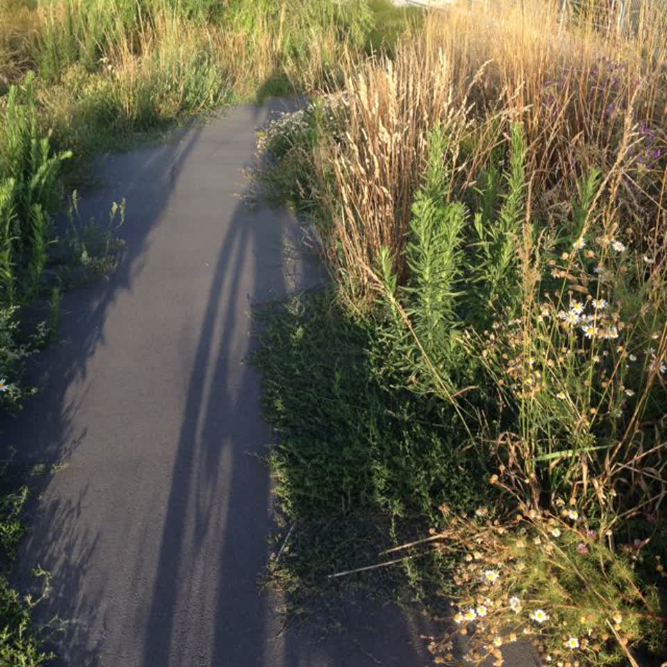 The photograph attached to this parks report