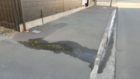 Water Supply — a report photo