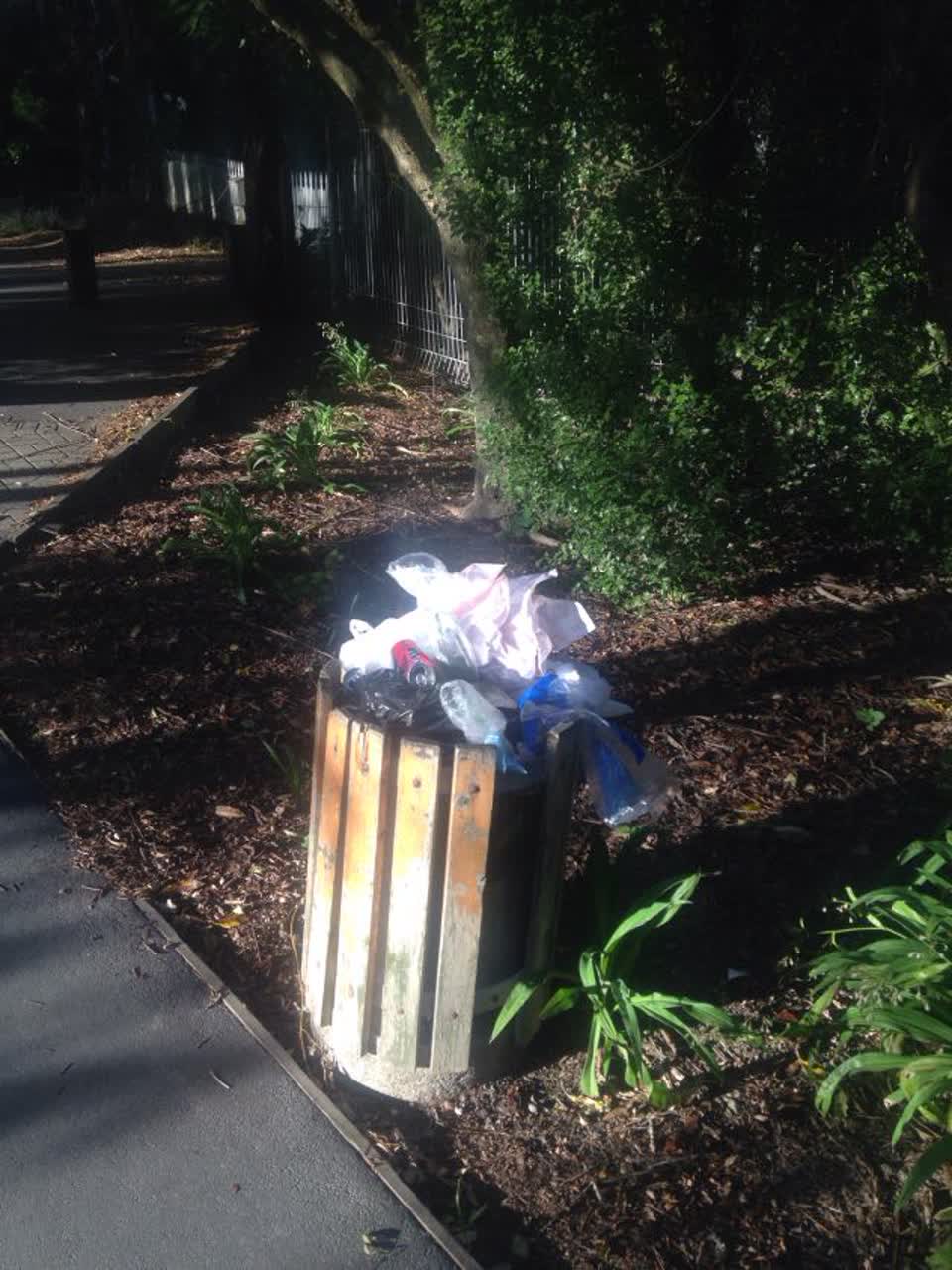 The photograph attached to this rubbish/recycling report