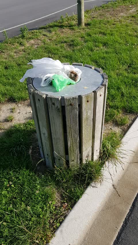 Rubbish/Recycling — a report photo