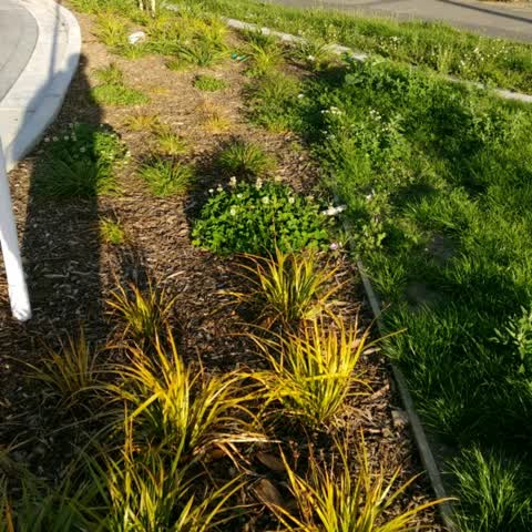 Roading/Streets, a report photo