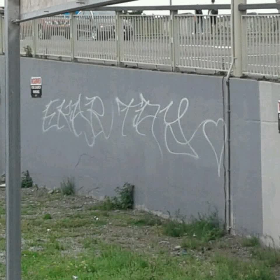 The photograph attached to this graffiti report