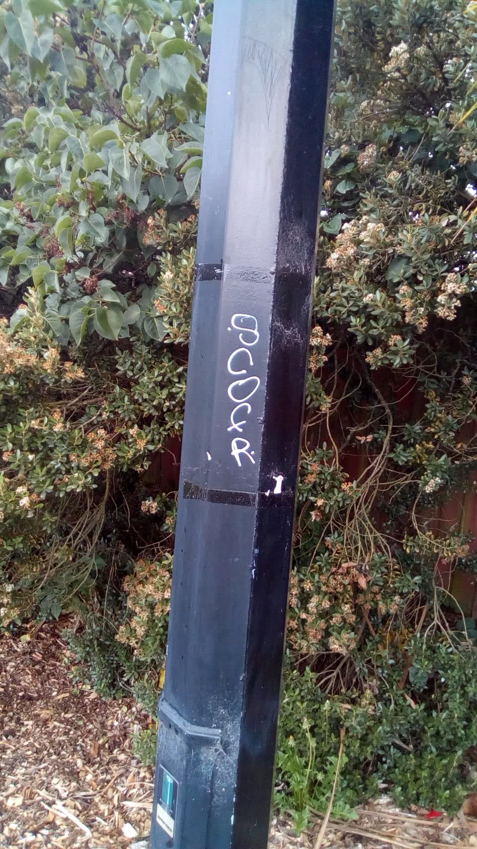 The photograph attached to this graffiti report