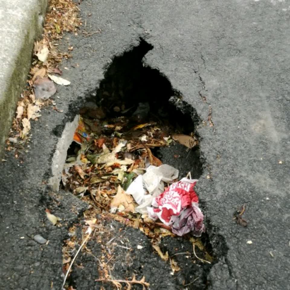 The photograph attached to this roading/streets report