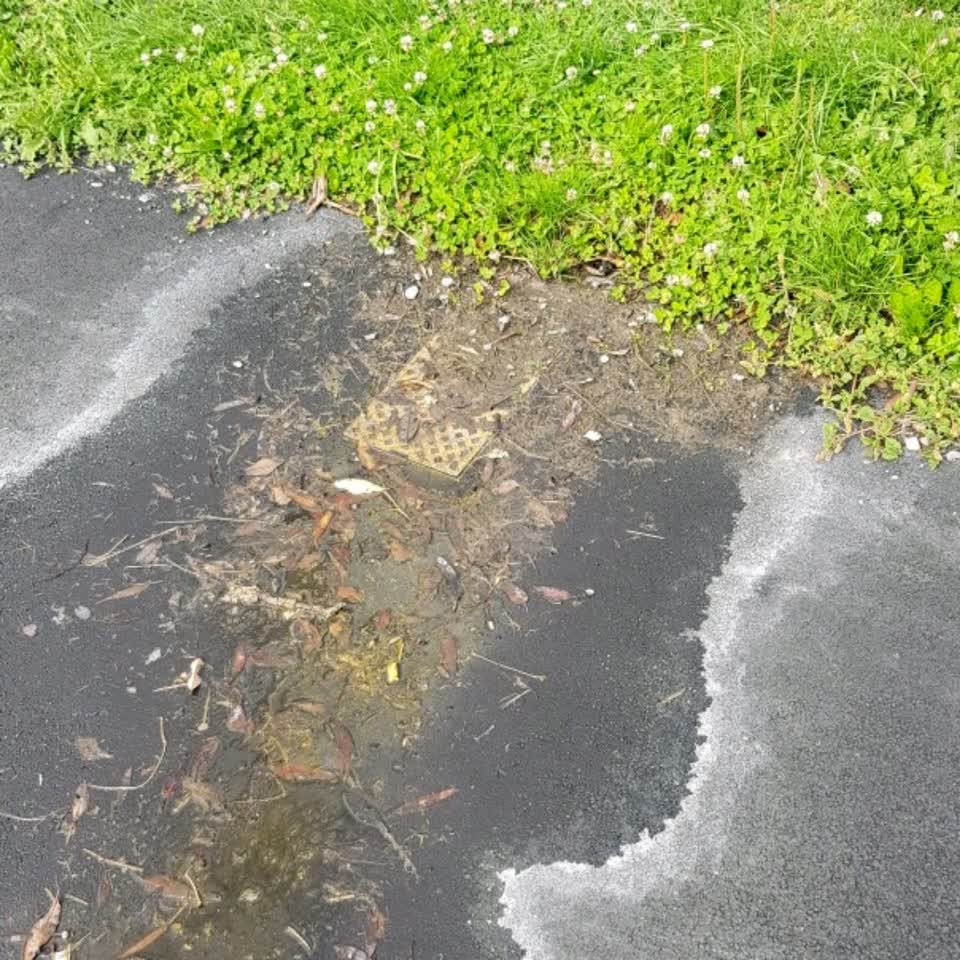 The photograph attached to this water supply report