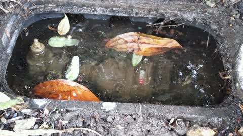 Water Supply, a report photo
