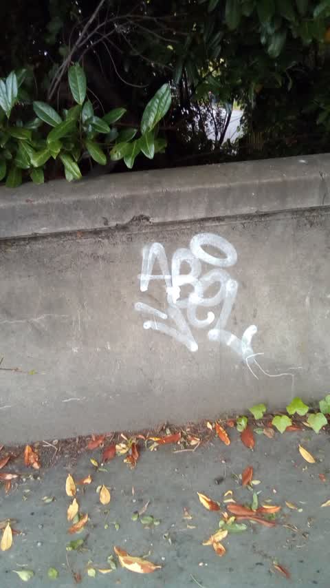 Graffiti, a report photo