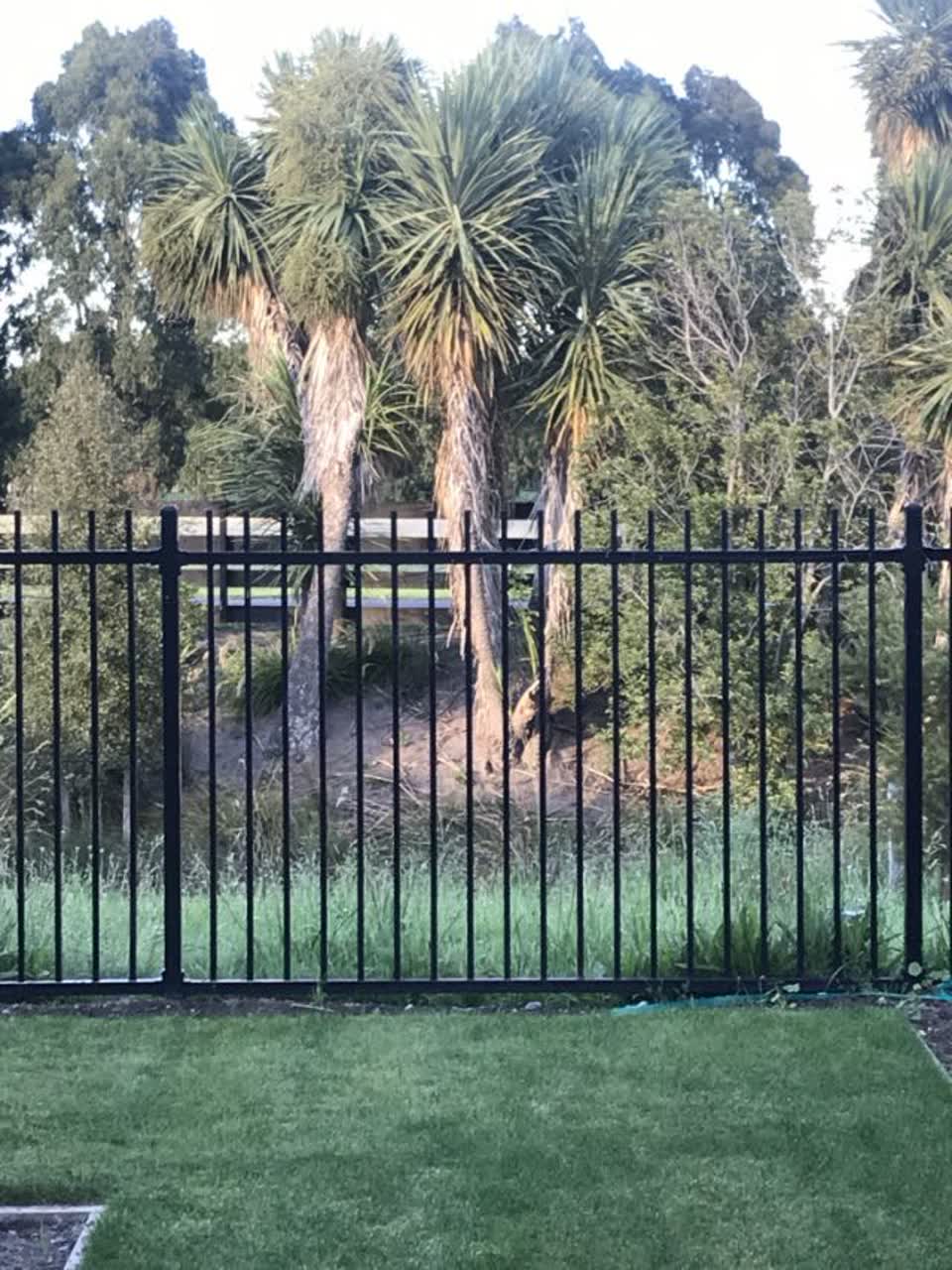 The photograph attached to this parks report