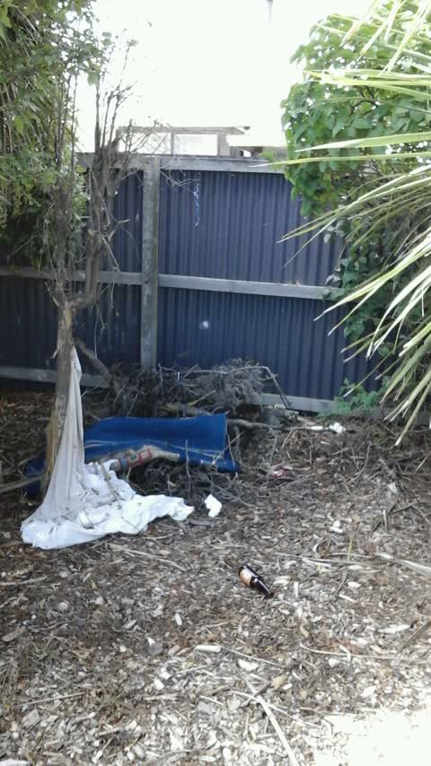 Rubbish/Recycling, a report photo