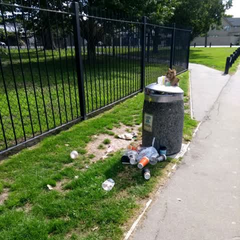 Rubbish/Recycling, a report photo
