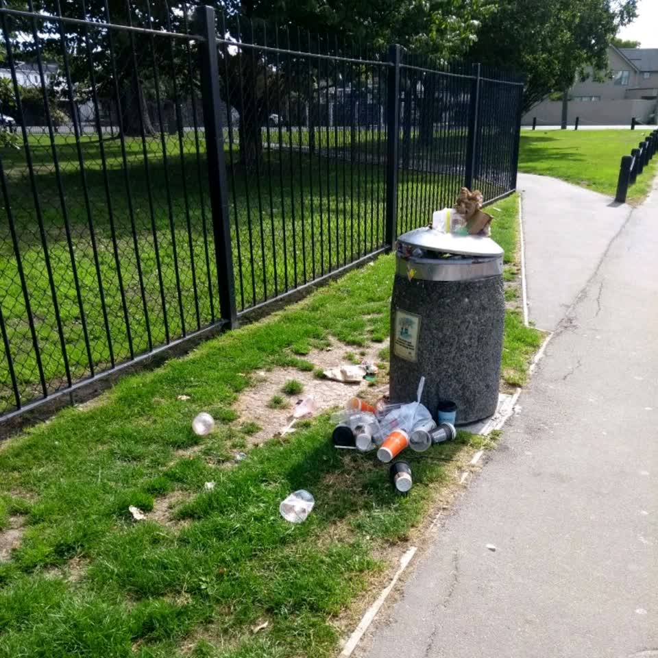 The photograph attached to this rubbish/recycling report