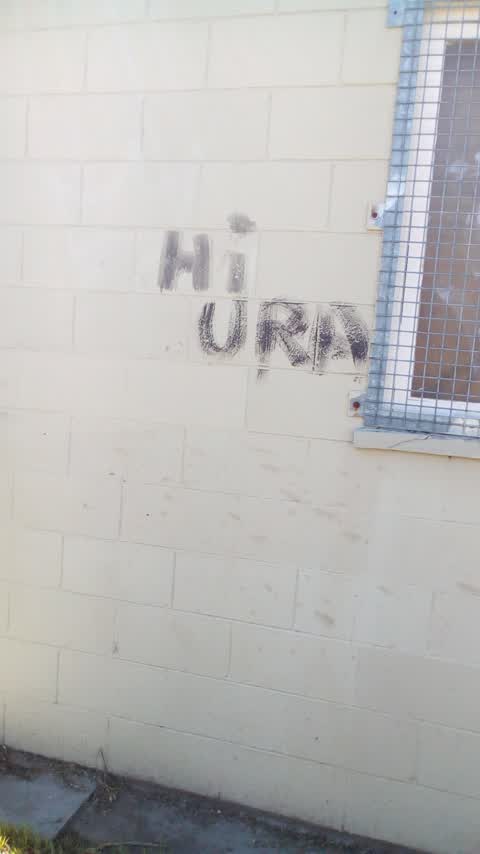 Graffiti, a report photo