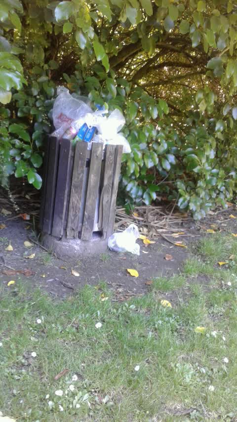 Rubbish/Recycling, a report photo