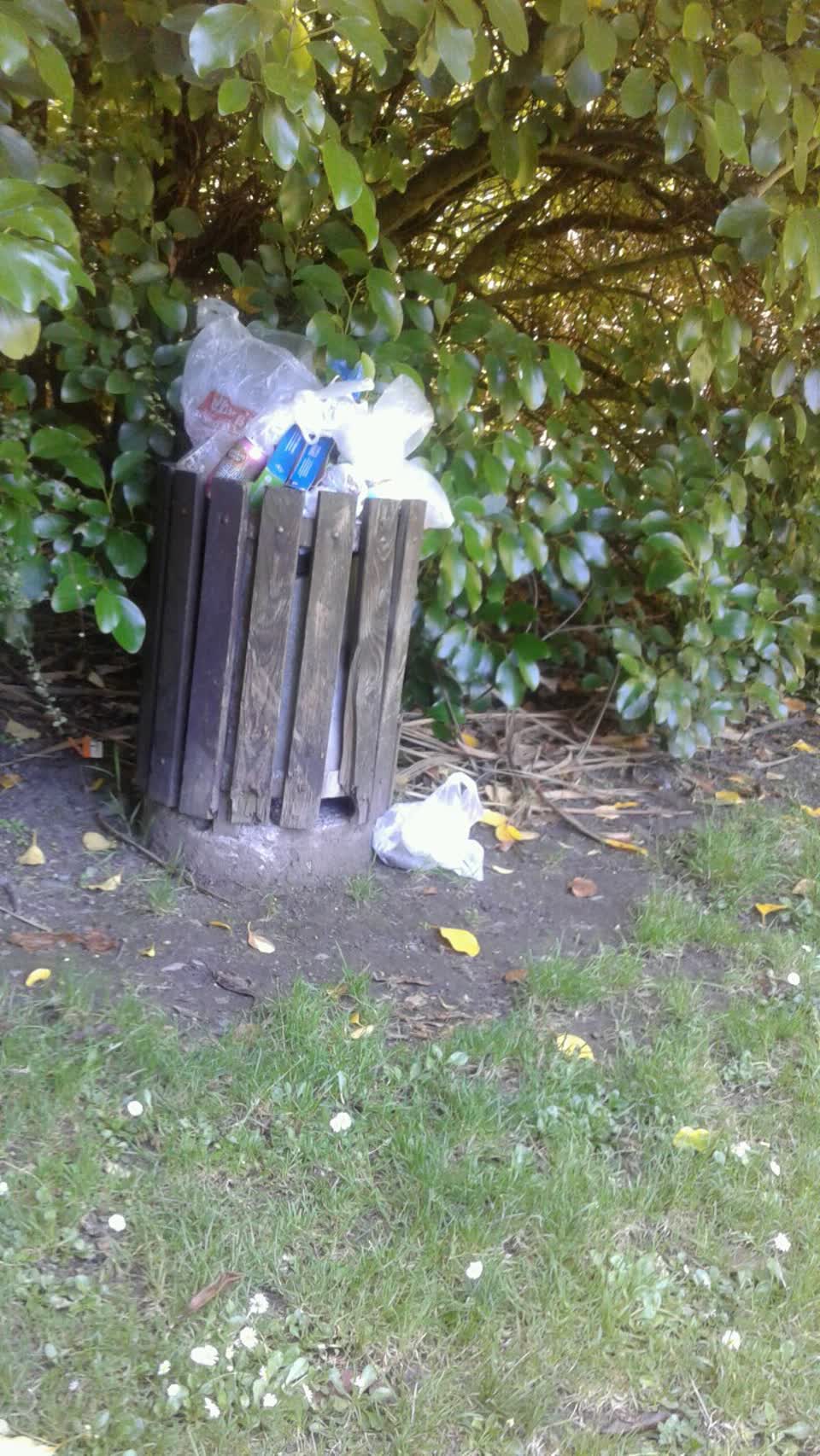 The photograph attached to this rubbish/recycling report
