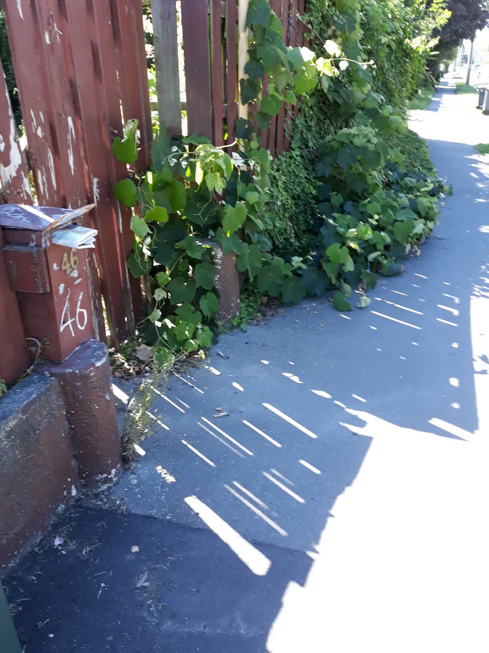 The photograph attached to this roading/streets report