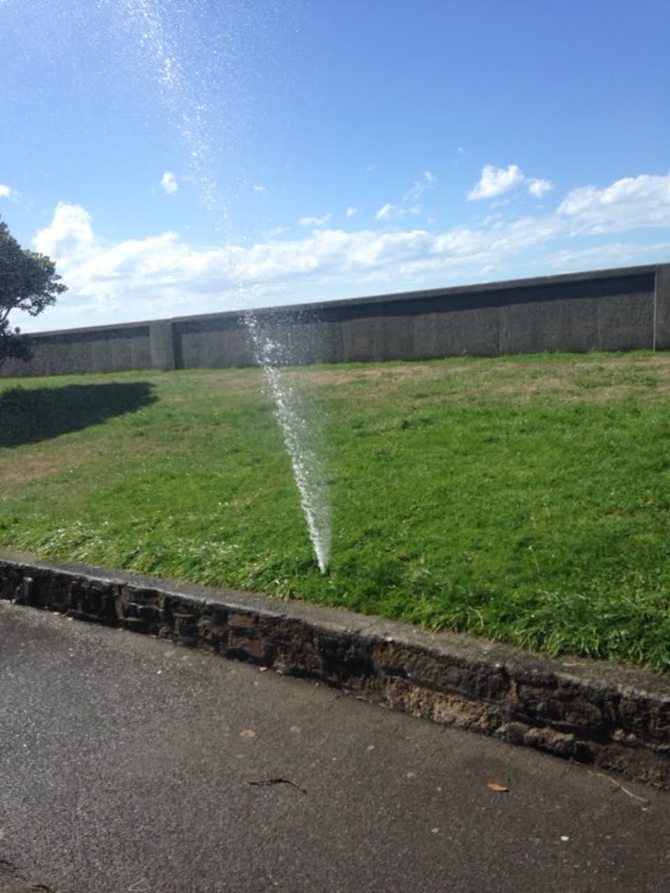 The photograph attached to this parks report