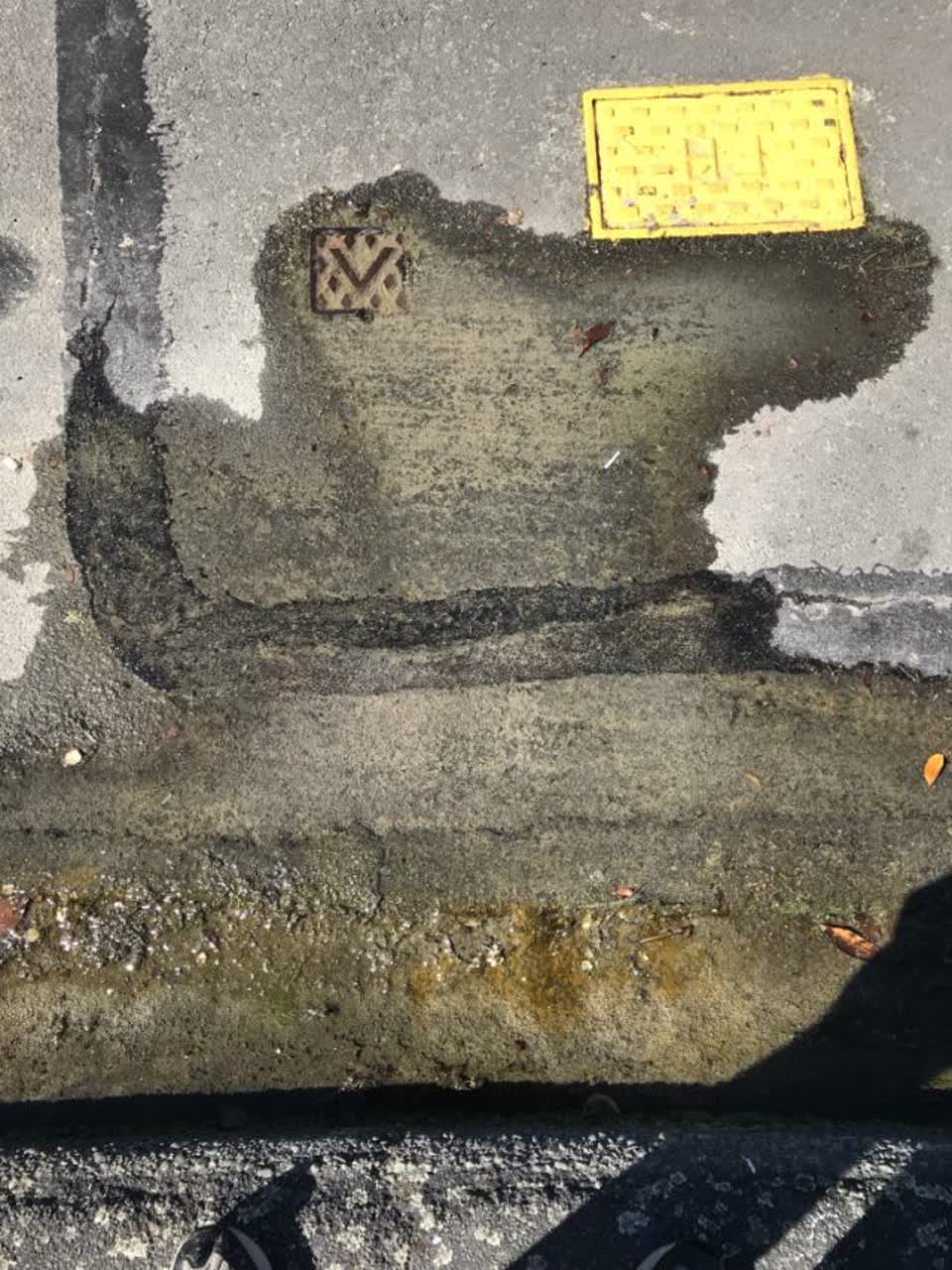 The photograph attached to this water supply report