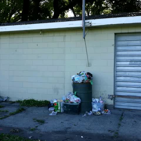 Rubbish/Recycling — a report photo