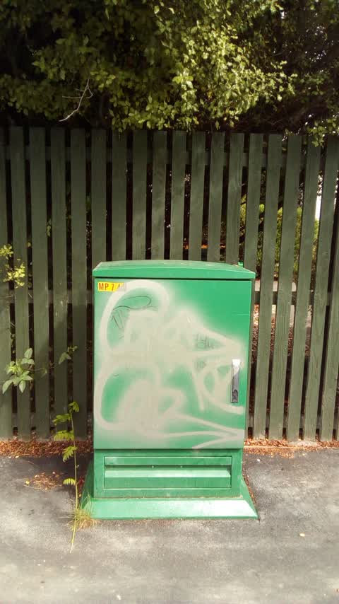 Graffiti, a report photo