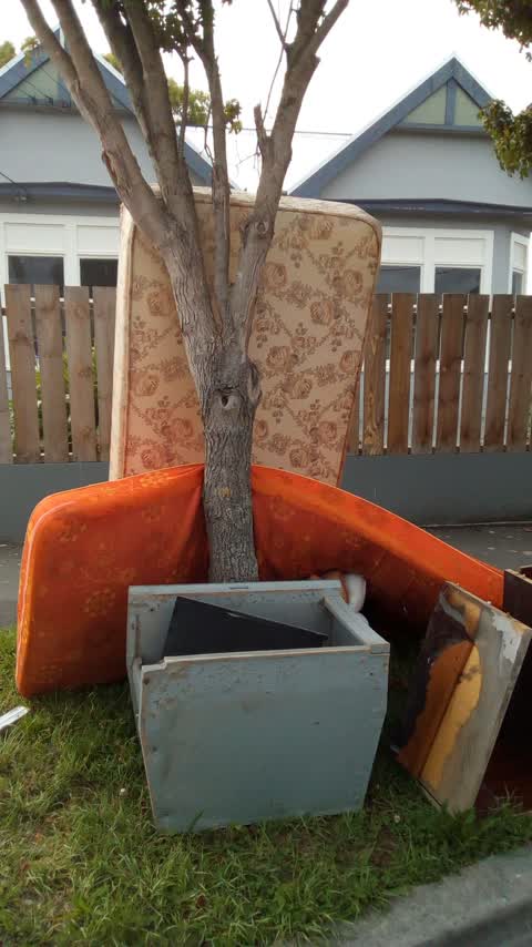Rubbish/Recycling, a report photo