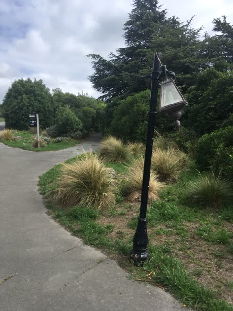 The photograph attached to this parks report