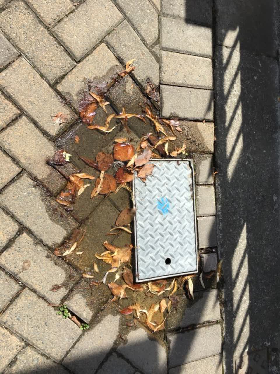 The photograph attached to this water supply report