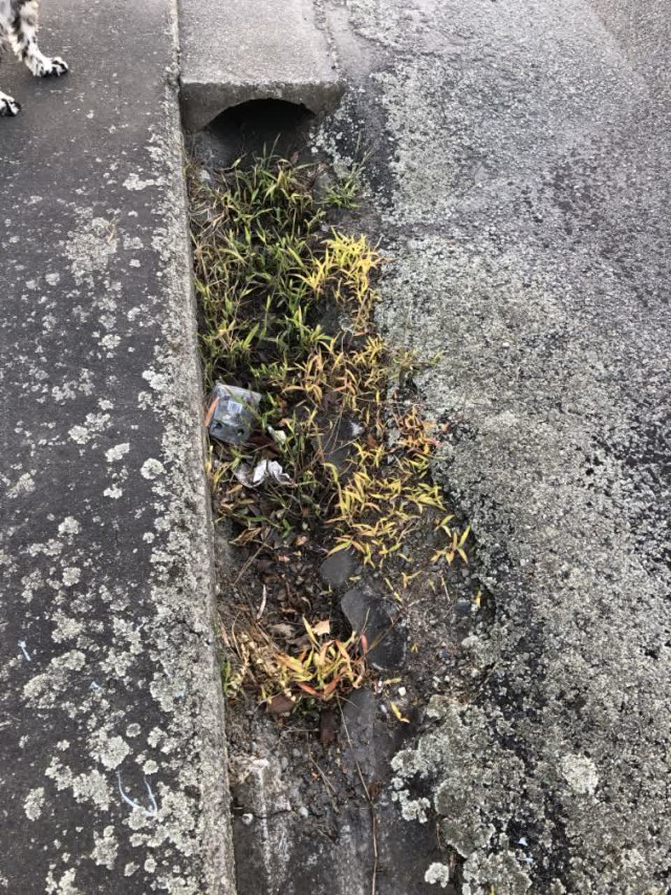 The photograph attached to this wastewater/stormwater report