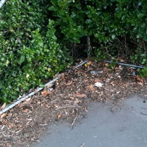 Parks — a report photo