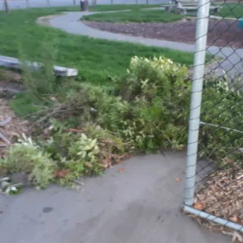 Parks, a report photo