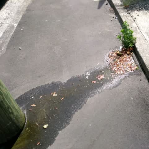 Water Supply, a report photo