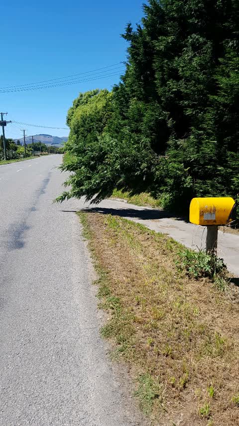 Roading/Streets, a report photo