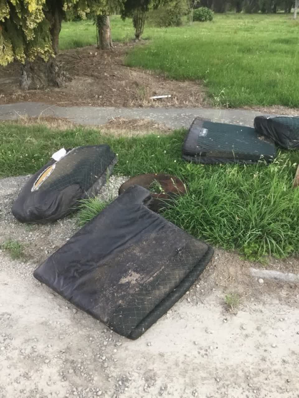 The photograph attached to this rubbish/recycling report
