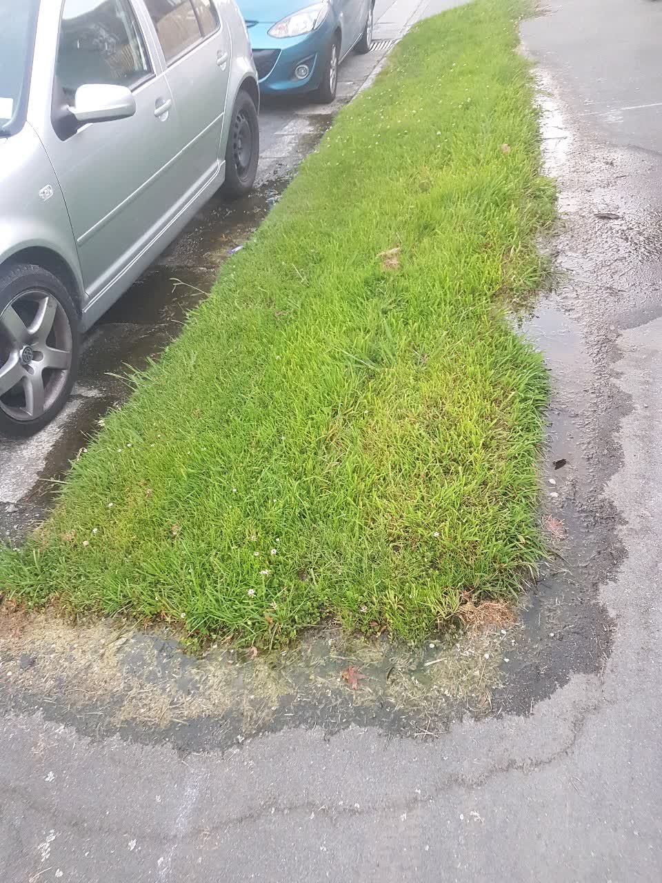 The photograph attached to this water supply report