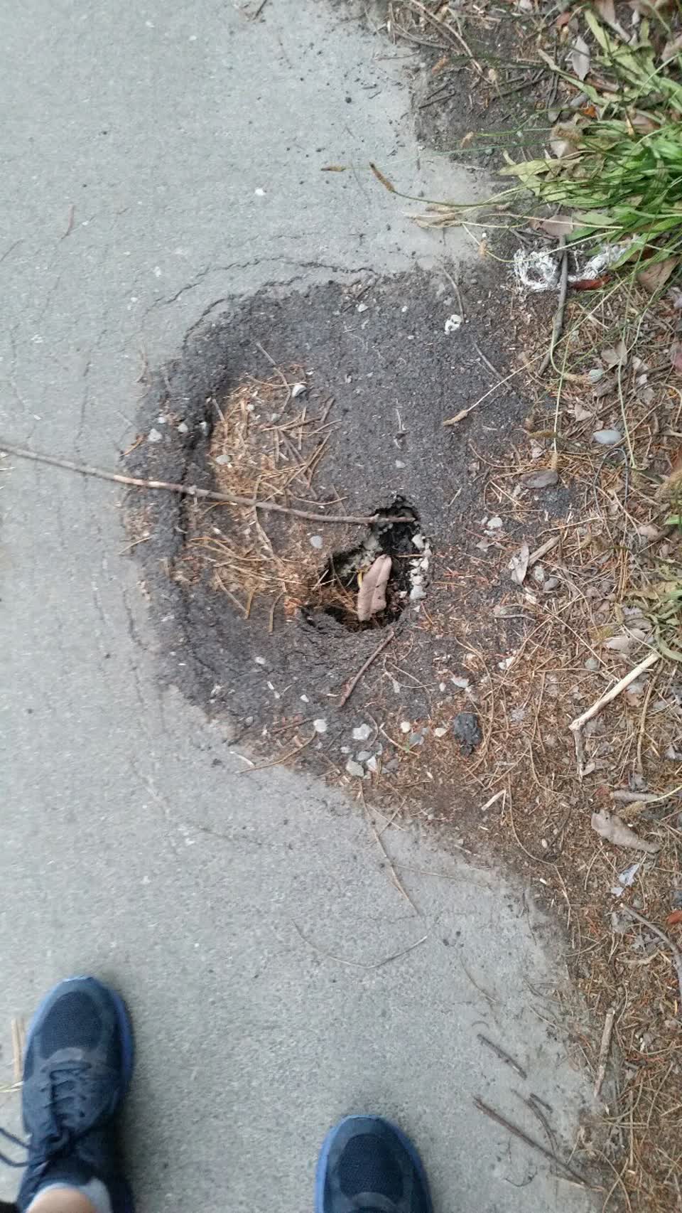 The photograph attached to this roading/streets report