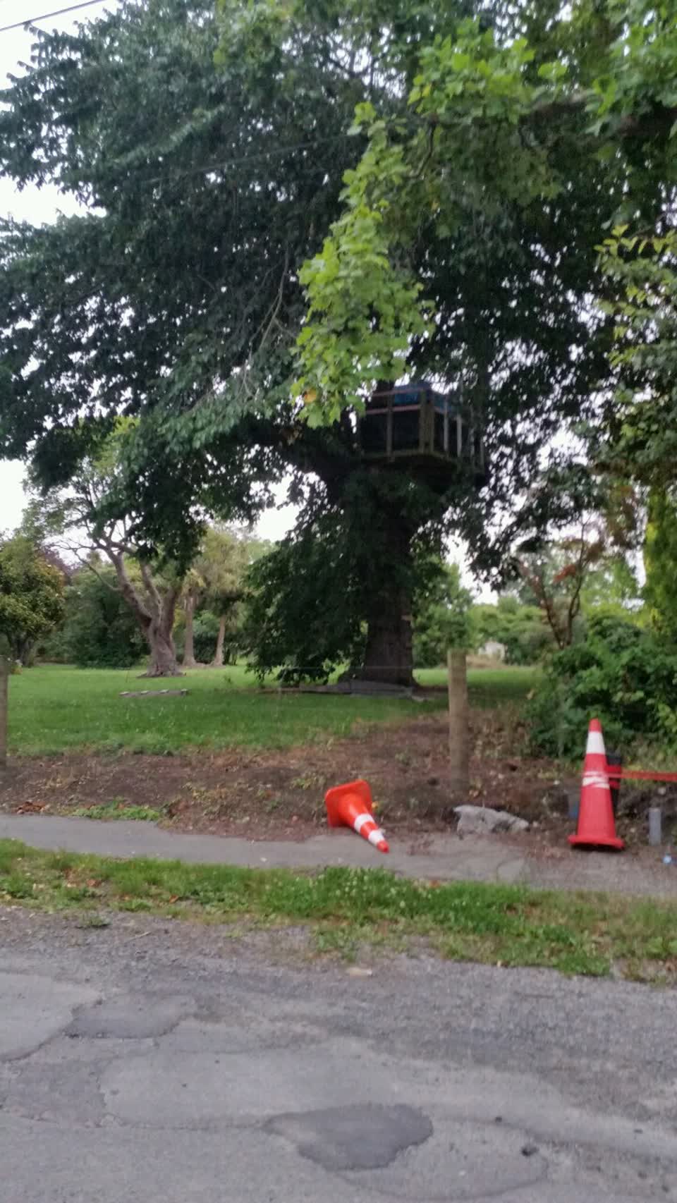 The photograph attached to this parks report